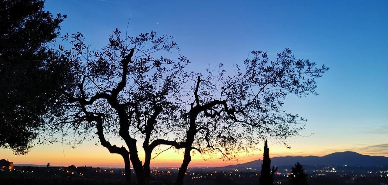 Agriturismo Cascina Cipressa San Romano  Екстер'єр фото
