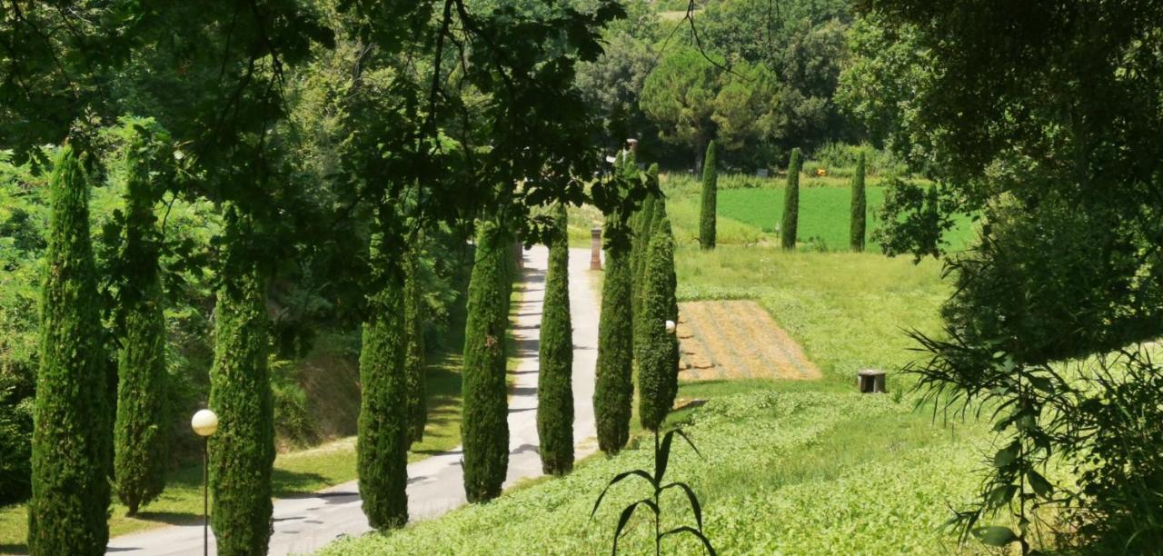 Agriturismo Cascina Cipressa San Romano  Екстер'єр фото