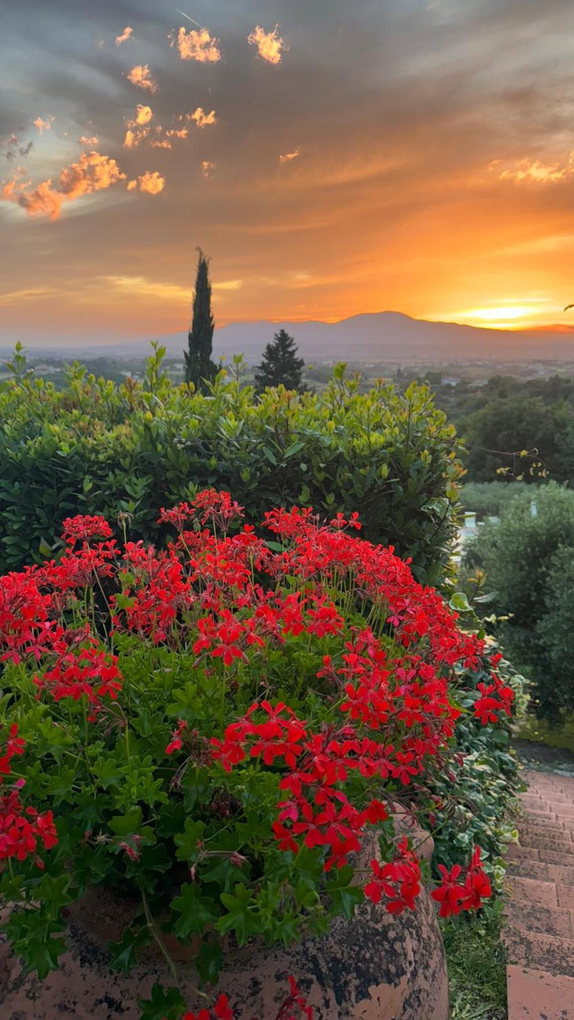 Agriturismo Cascina Cipressa San Romano  Екстер'єр фото