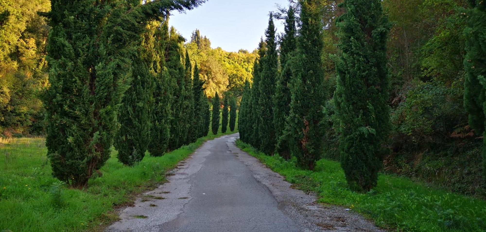Agriturismo Cascina Cipressa San Romano  Екстер'єр фото